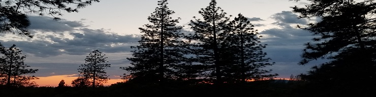 Sierra Nevada Foothills